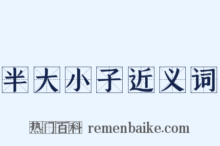 半大小子近义词是什么意思的图片